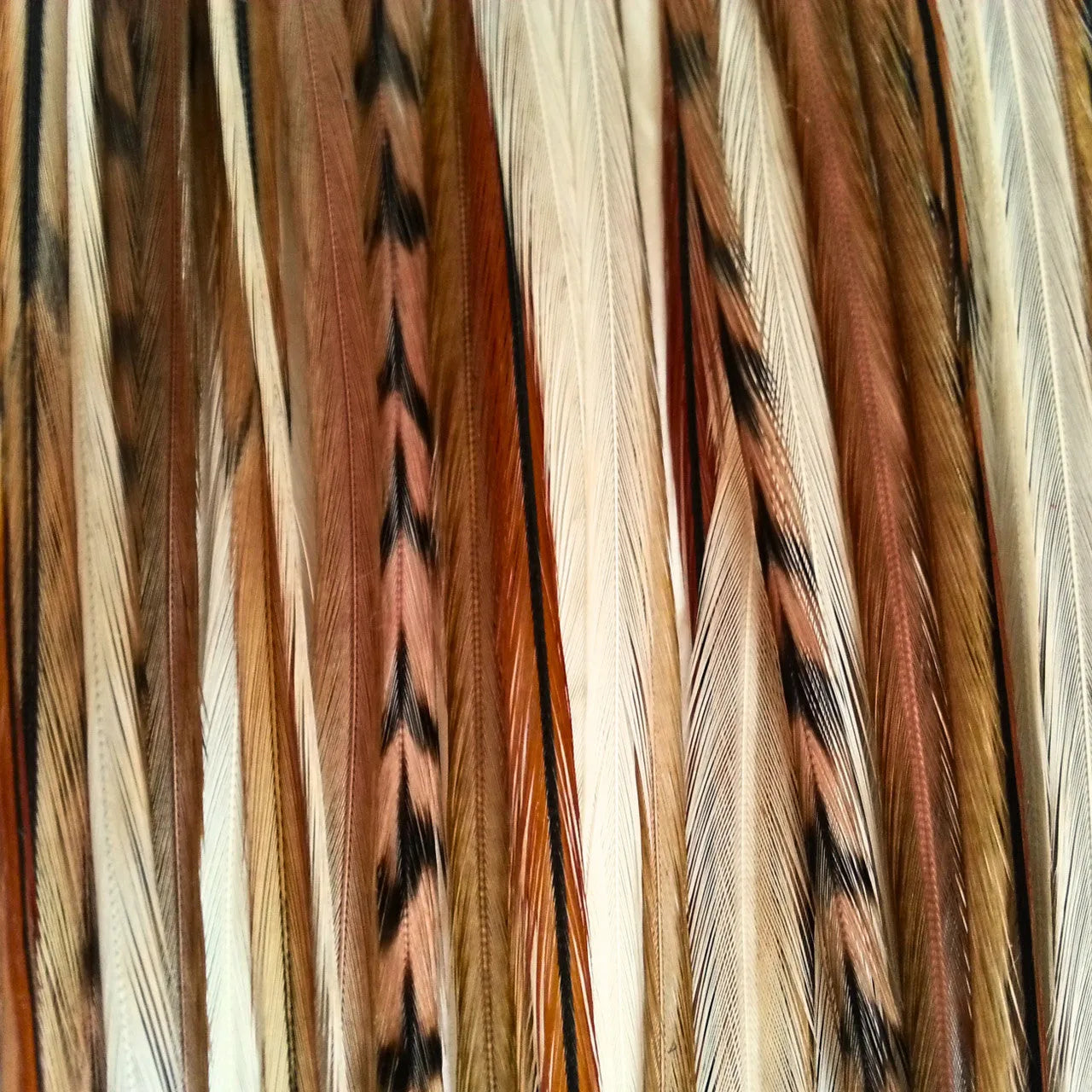 Tan Fannies Hair Feather Extension Collection of hair feathers in soft, earthy, natural tones of Fawn, Natural Ghost Grizzly, and Brown. 