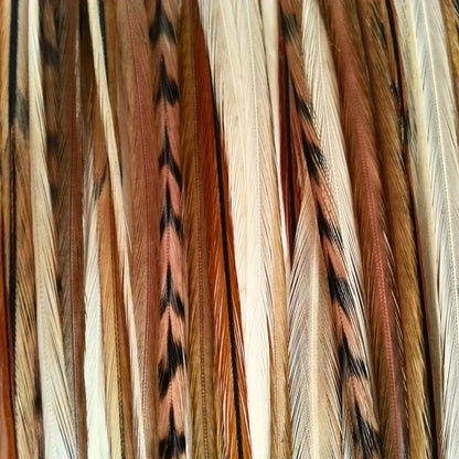 Tan Fannies Hair Feather Extension Collection of hair feathers in soft, earthy, natural tones of Fawn, Natural Ghost Grizzly, and Brown. 