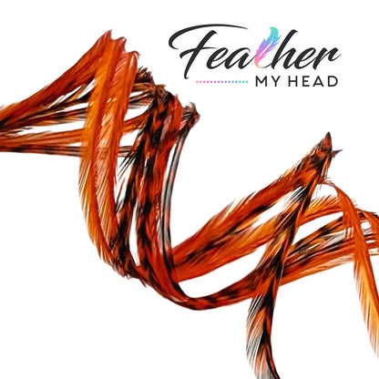 Feather My Head hair feathers dyed a sapphire orange color