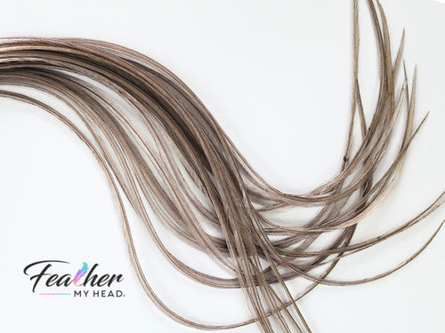 Light Gray Dun Hair Feather