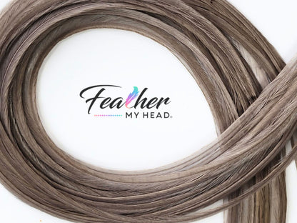 Light Gray Dun Hair Feathers- Feather Hair Extensions