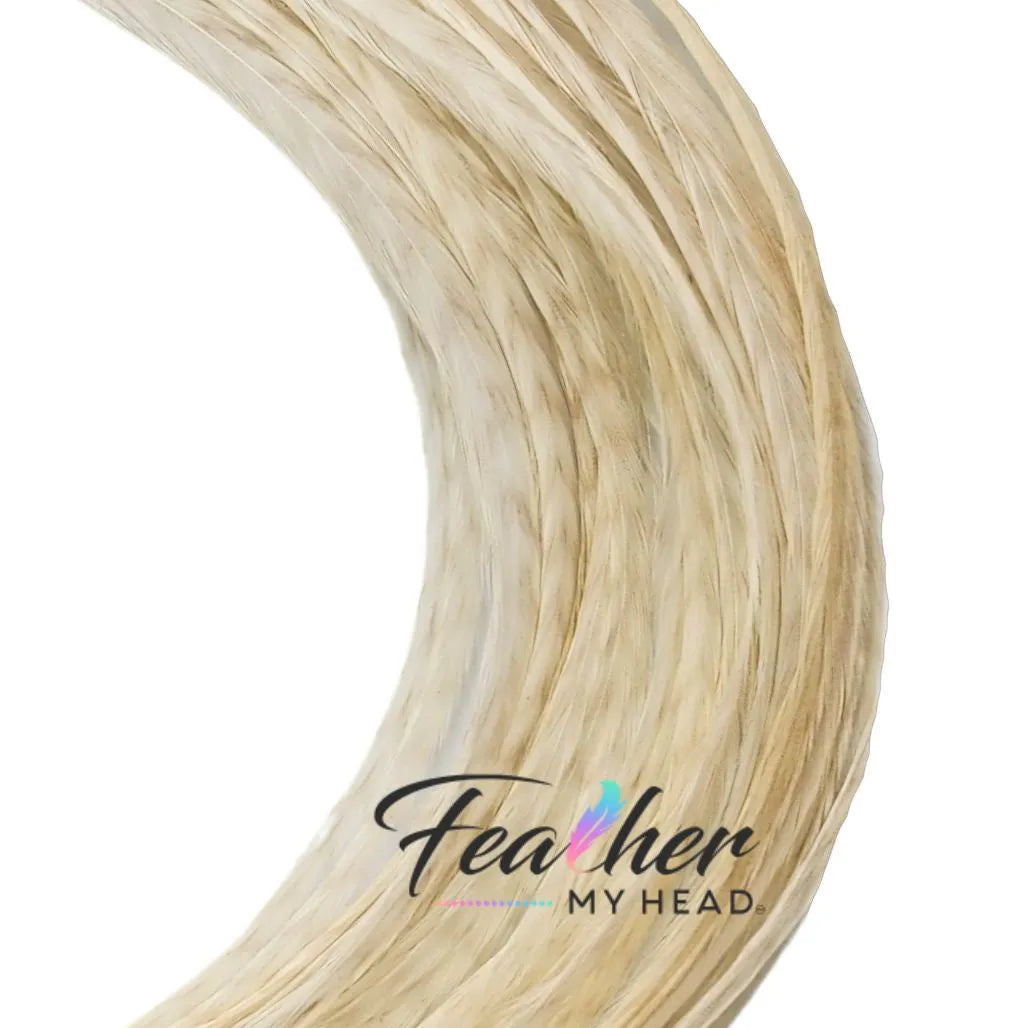 White Ghost Barred Grizzly Hair Feathers are one of the more distinctive natural feathers due to the faint barred striped markings on the background of the feather extension.
Neutral in color this feather will compliment almost all color combinations and will be found in almost all of our natural hair packs.