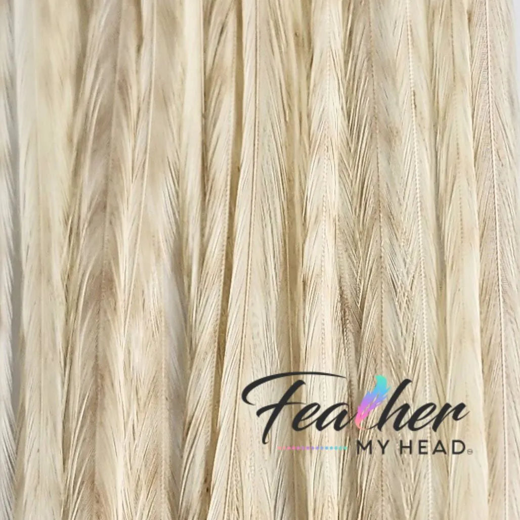 White Ghost Barred Grizzly Hair Feathers are one of the more distinctive natural feathers due to the faint barred striped markings on the background of the feather extension.
Neutral in color this feather will compliment almost all color combinations and will be found in almost all of our natural hair packs.