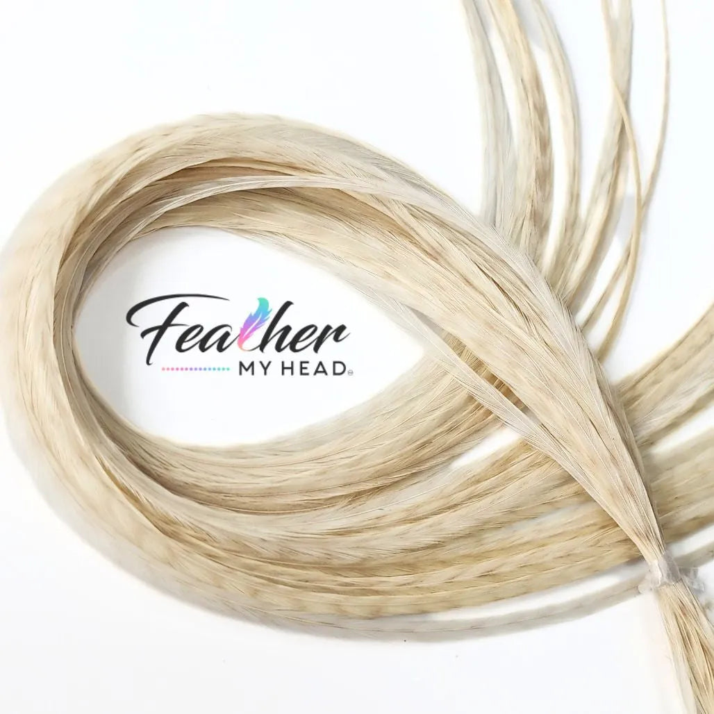 White Ghost Barred Grizzly Hair Feathers are one of the more distinctive natural feathers due to the faint barred striped markings on the background of the feather extension.
Neutral in color this feather will compliment almost all color combinations and will be found in almost all of our natural hair packs.