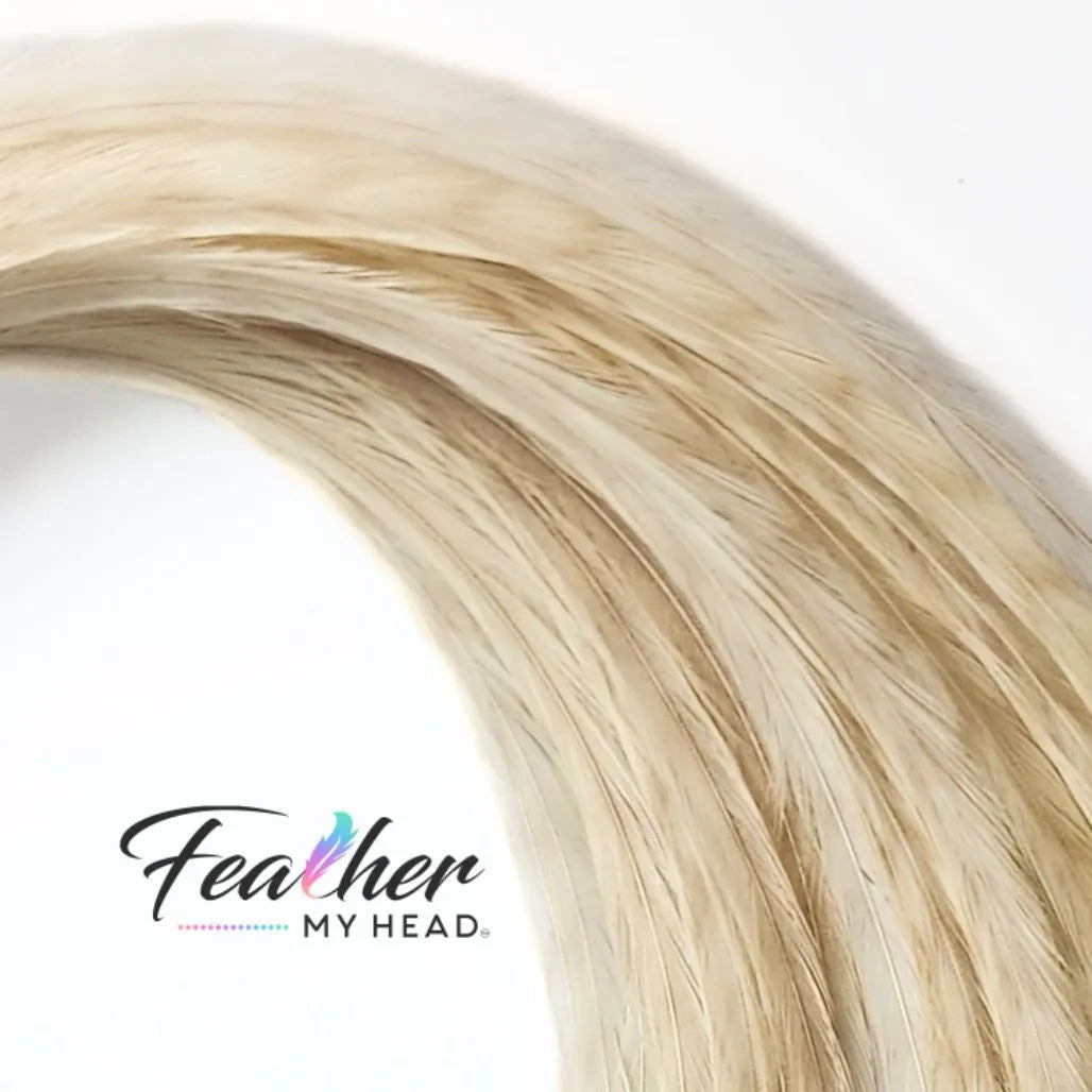 White Ghost Barred Grizzly Hair Feathers are one of the more distinctive natural feathers due to the faint barred striped markings on the background of the feather extension.
Neutral in color this feather will compliment almost all color combinations and will be found in almost all of our natural hair packs.