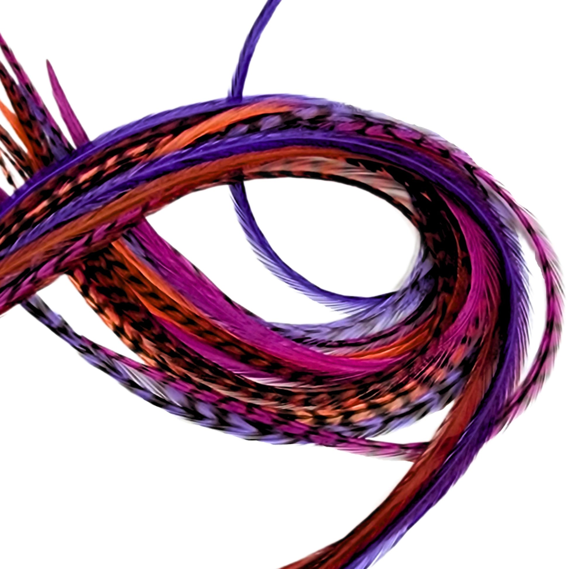 Long Hippie Shake feather hair extensions with pink and purple feather colors.
