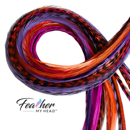 Boho style Hippie Shake feather hair extensions with pink and purple rooster feathers.