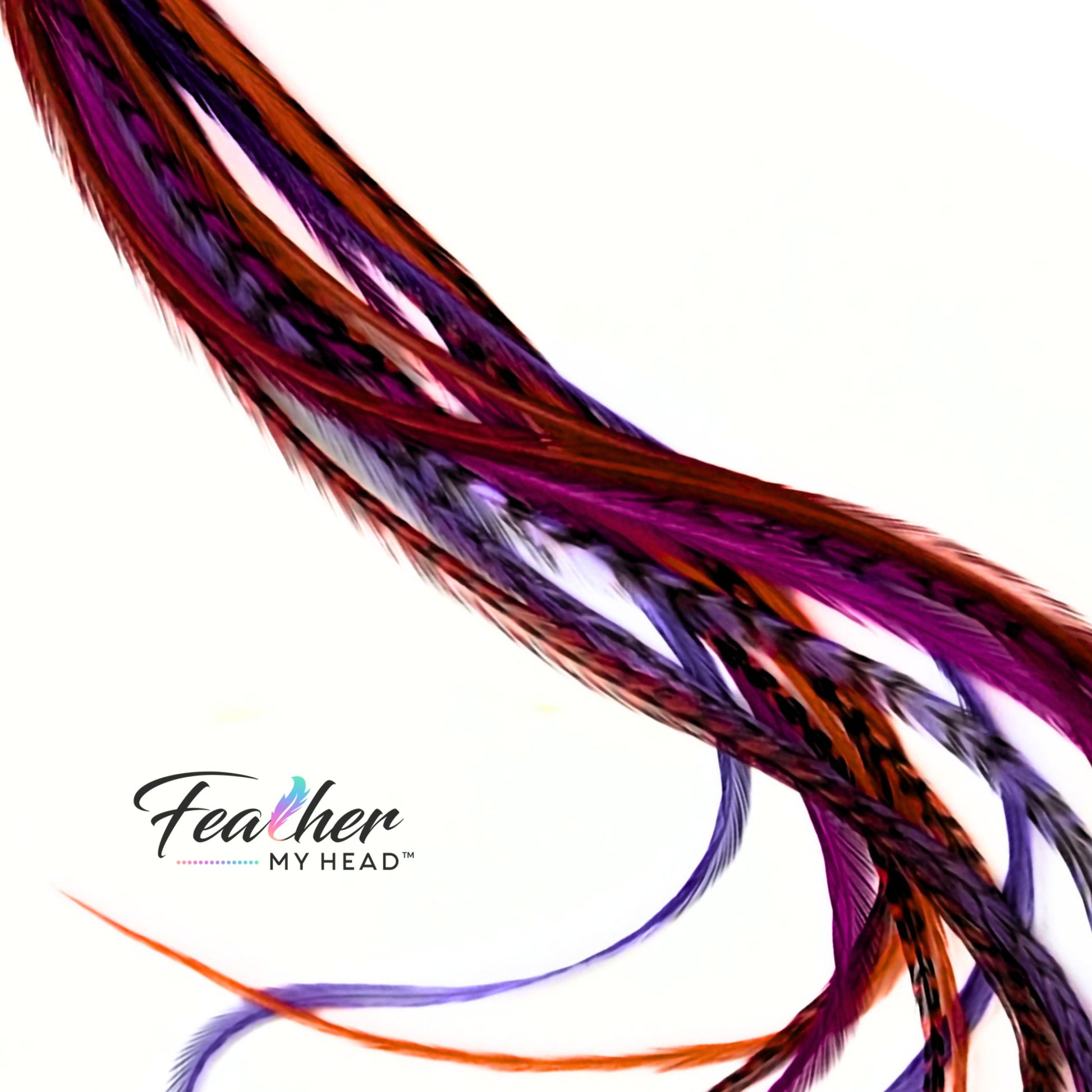 Hippie Shake feather hair extensions with natural brown and purple feather tones.