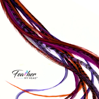 Hippie Shake feather hair extensions with natural brown and purple feather tones.