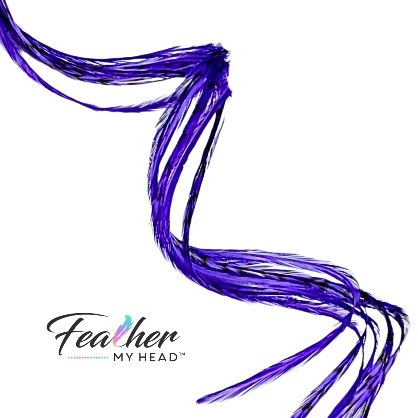 Iris Purple Hair Feather