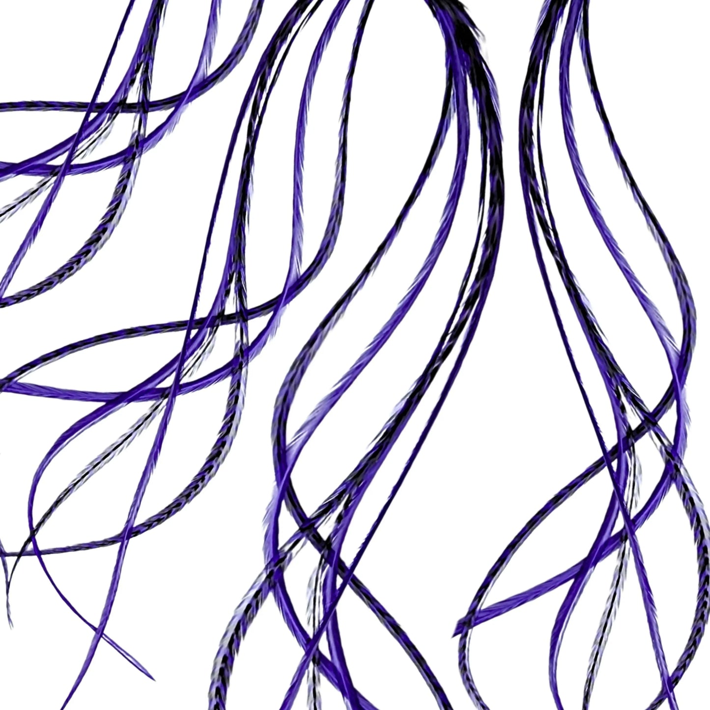 Iris Purple Hair Feather