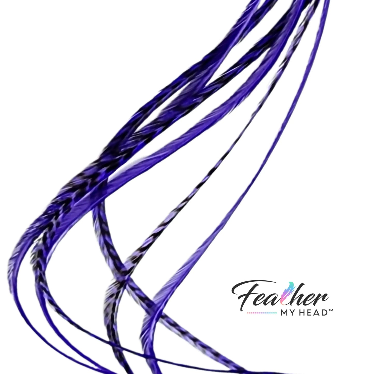 Iris Purple Hair Feather