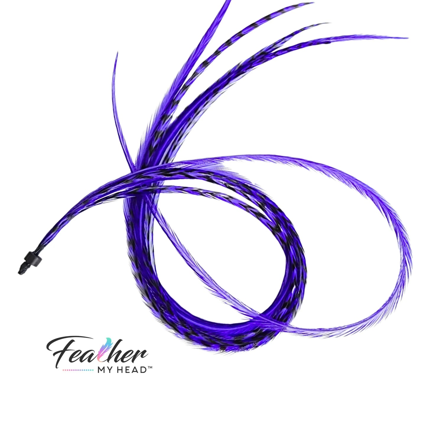 Iris Purple Hair Feather