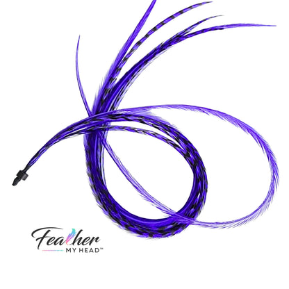 Iris Purple Hair Feather