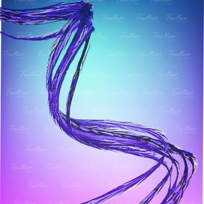 Iris Purple Hair Feather