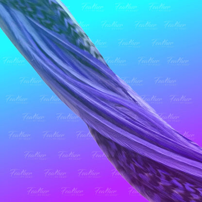 Iris Purple Hair Feather