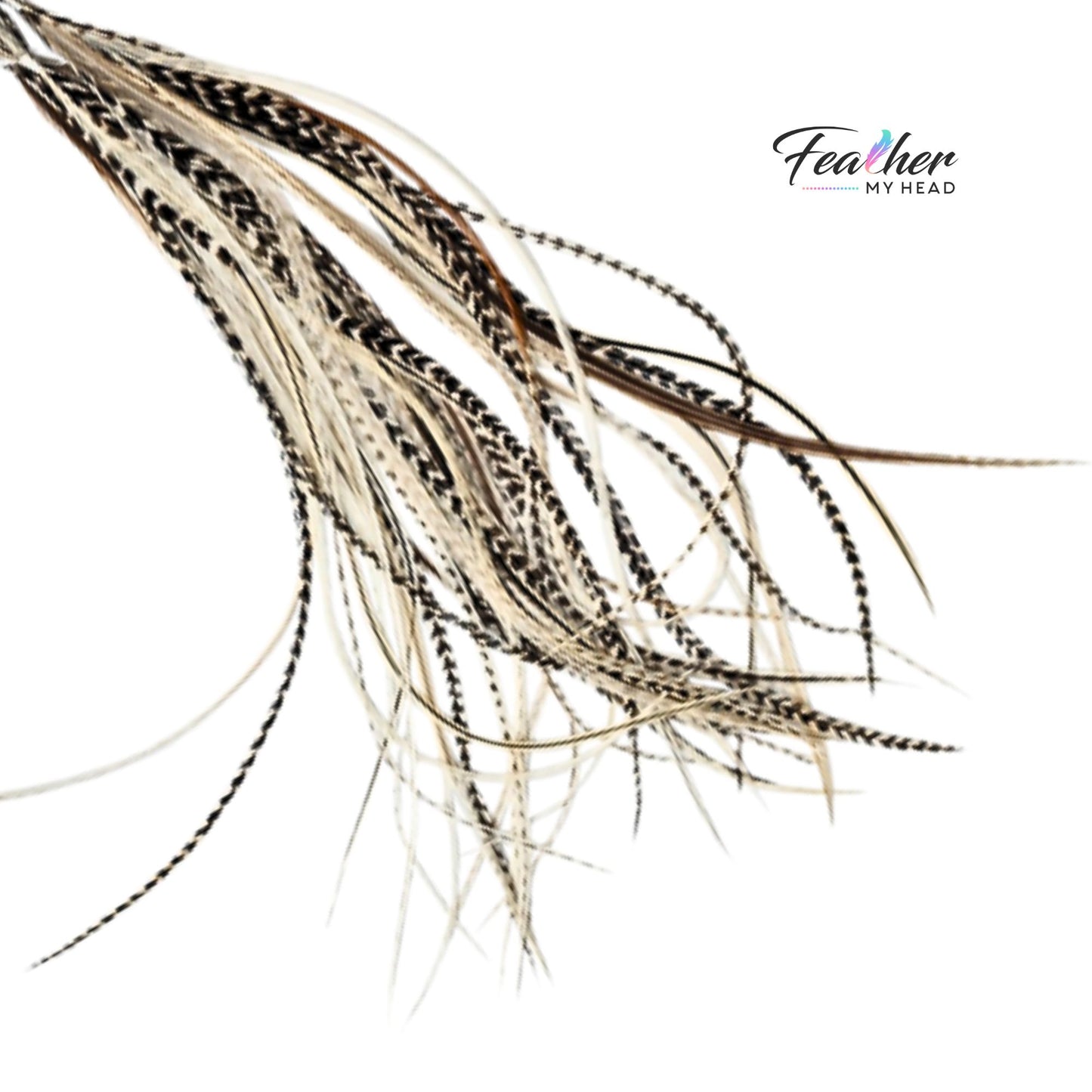 Island Girl feather hair extensions in a flowing arrangement with sandy neutrals and natural variegated patterns