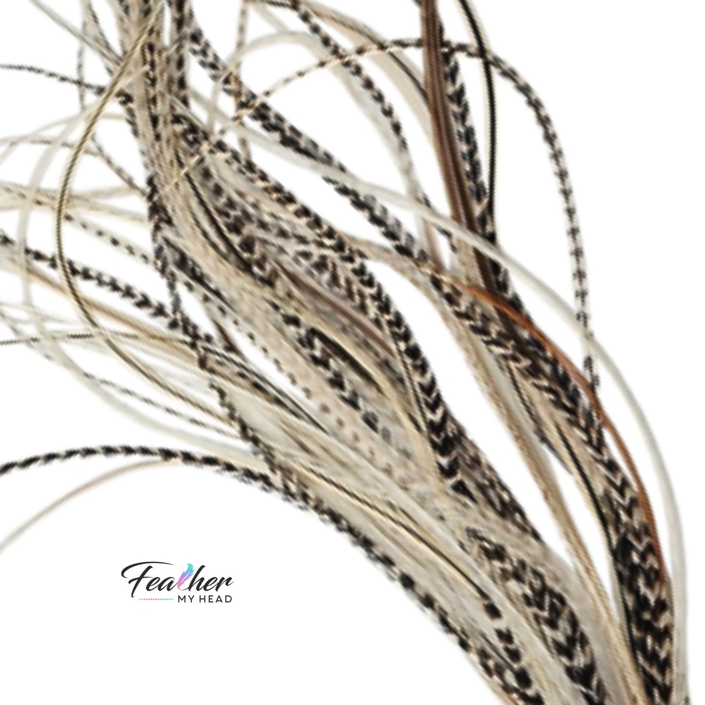 Island Girl feather hair extensions in a flowing arrangement with sandy neutrals and natural variegated patterns