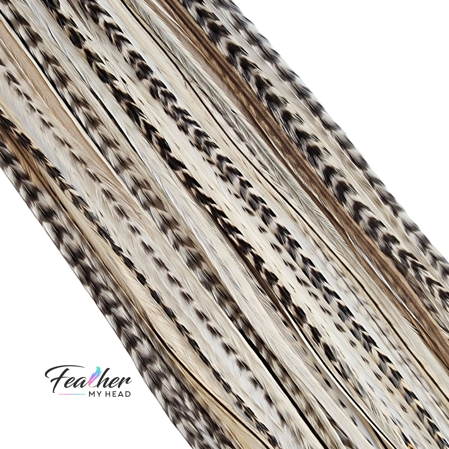 Close-up of Island Girl feather hair extensions in cream, taupe, and natural variegated striped tones