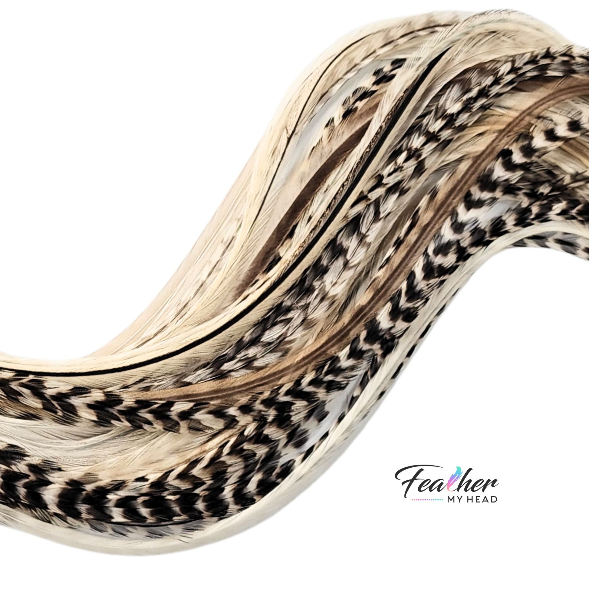 Close-up of Island Girl feather hair extensions in cream, taupe, and natural variegated striped tones