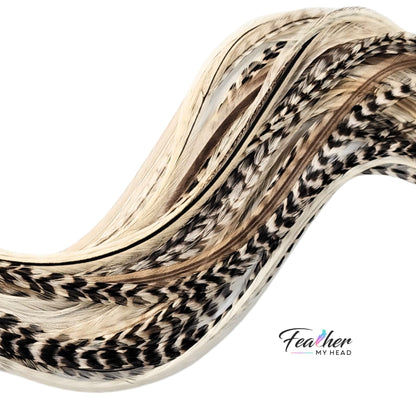 Close-up of Island Girl feather hair extensions in cream, taupe, and natural variegated striped tones