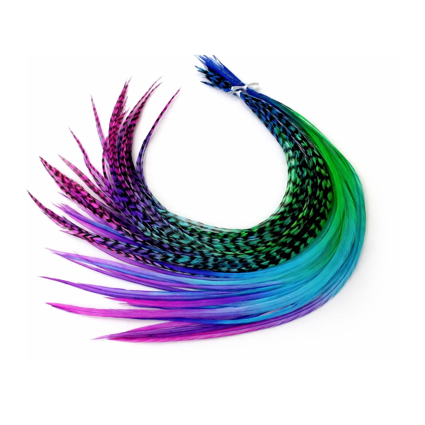 rainbow feather hair extensions set purple green blue mix of striped and solid feathers