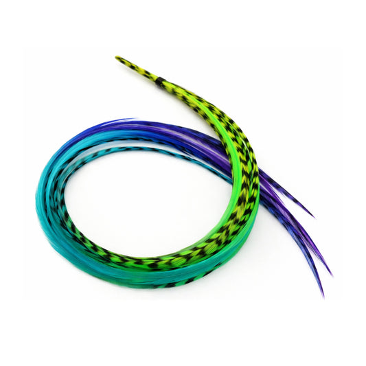 rainbow hair feathers purple green blue feather hair extensions long real feathers