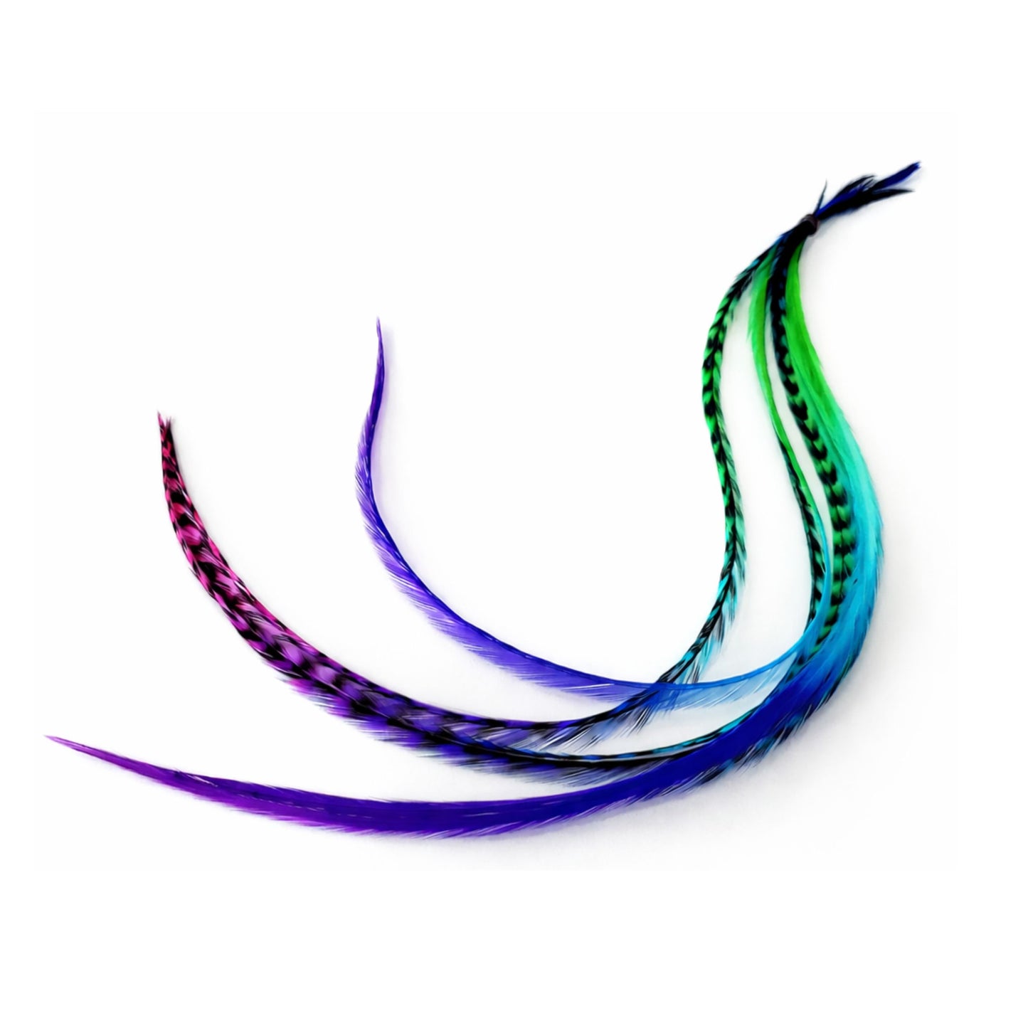 extra long hair feathers 14 to 16 inch rainbow feather extensions showing full length