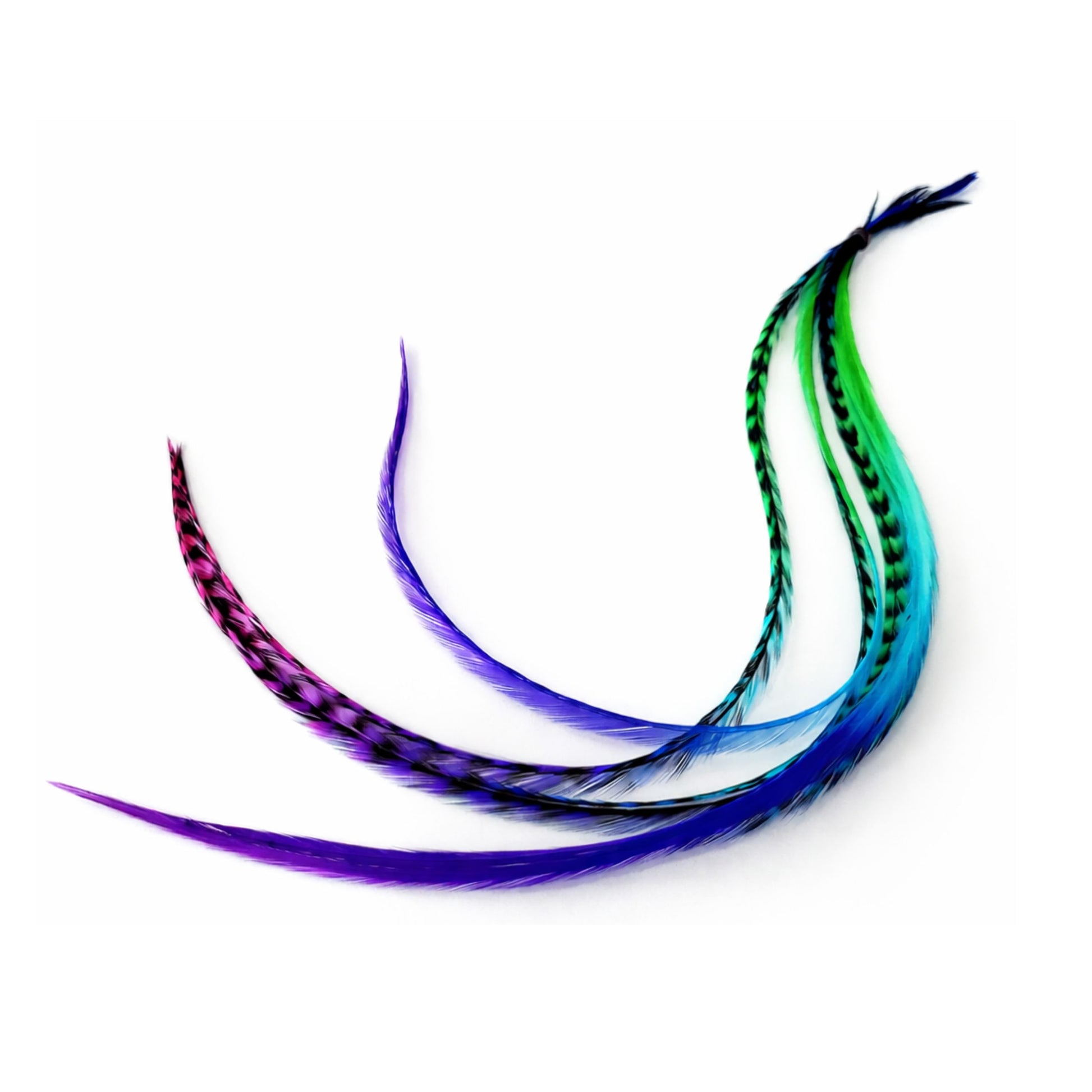 extra long hair feathers 14 to 16 inch rainbow feather extensions showing full length