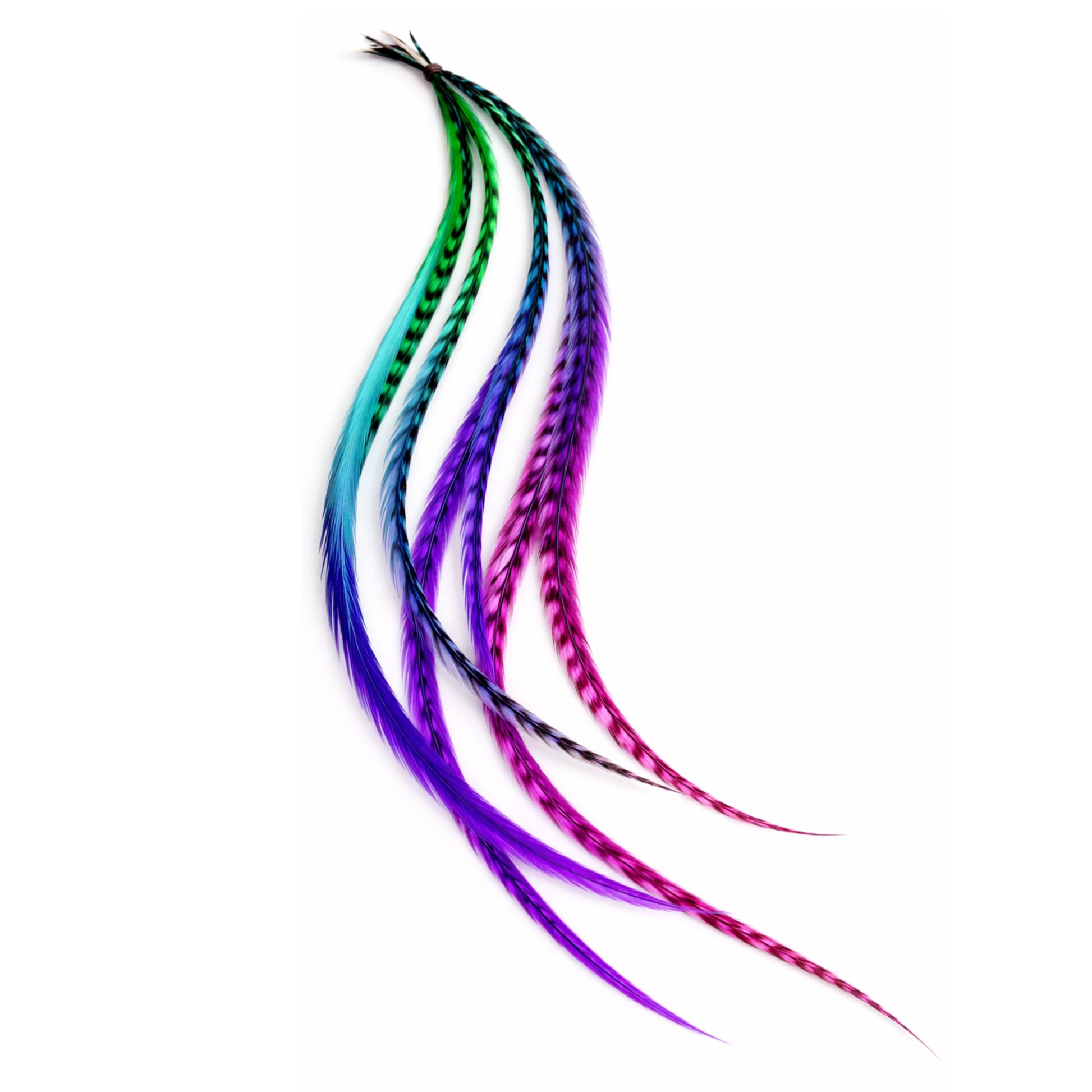 rainbow feather hair extensions styled in hair long purple green blue feathers blended naturally