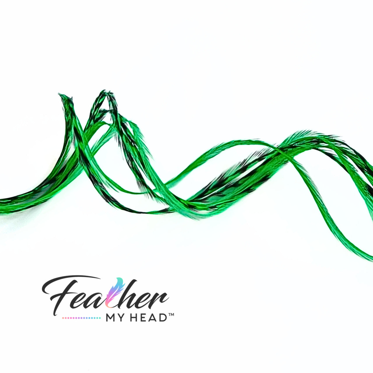 Stand out with our Kelly Green Hair Feathers! These vibrant green feather extensions add a bold, stylish touch to any look. Perfect for game day, themed events, or everyday wear.