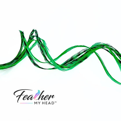 Stand out with our Kelly Green Hair Feathers! These vibrant green feather extensions add a bold, stylish touch to any look. Perfect for game day, themed events, or everyday wear.