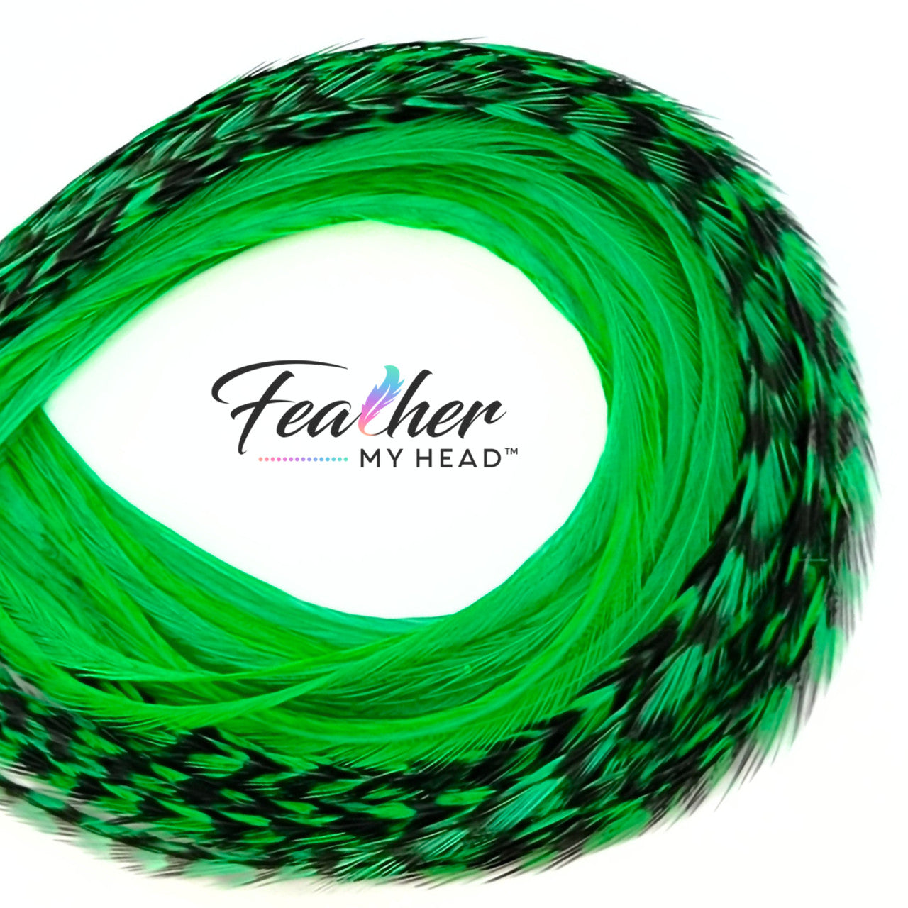 Stand out with our Kelly Green Hair Feathers! These vibrant green feather extensions add a bold, stylish touch to any look. Perfect for game day, themed events, or everyday wear.