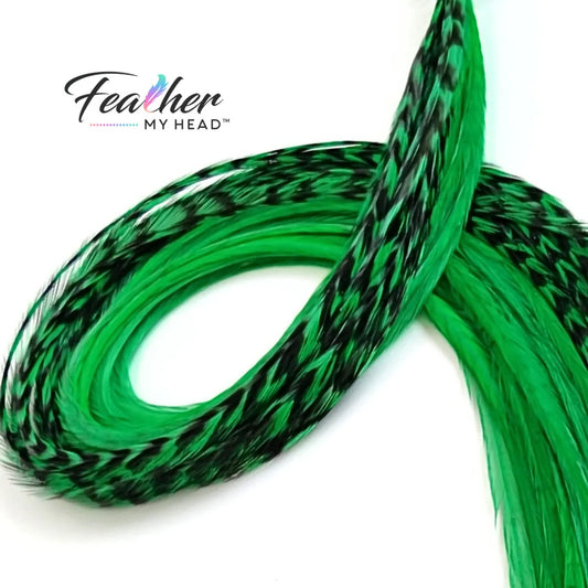 Stand out with our Kelly Green Hair Feathers! These vibrant green feather extensions add a bold, stylish touch to any look. Perfect for game day, themed events, or everyday wear.