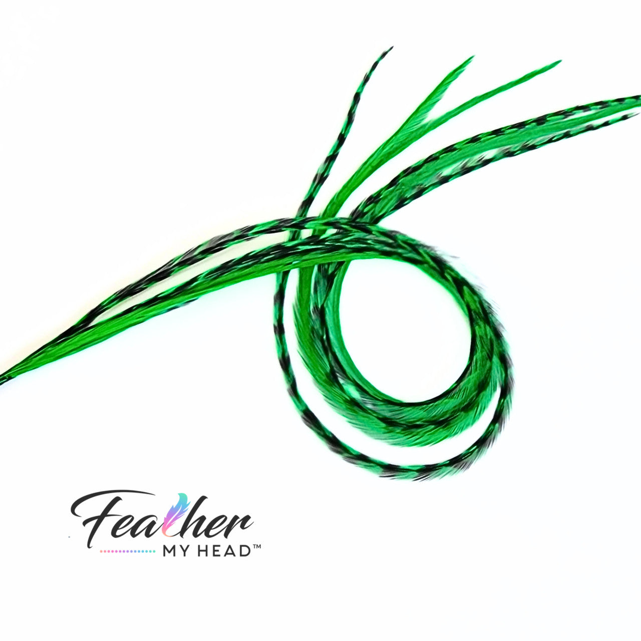 Stand out with our Kelly Green Hair Feathers! These vibrant green feather extensions add a bold, stylish touch to any look. Perfect for game day, themed events, or everyday wear.