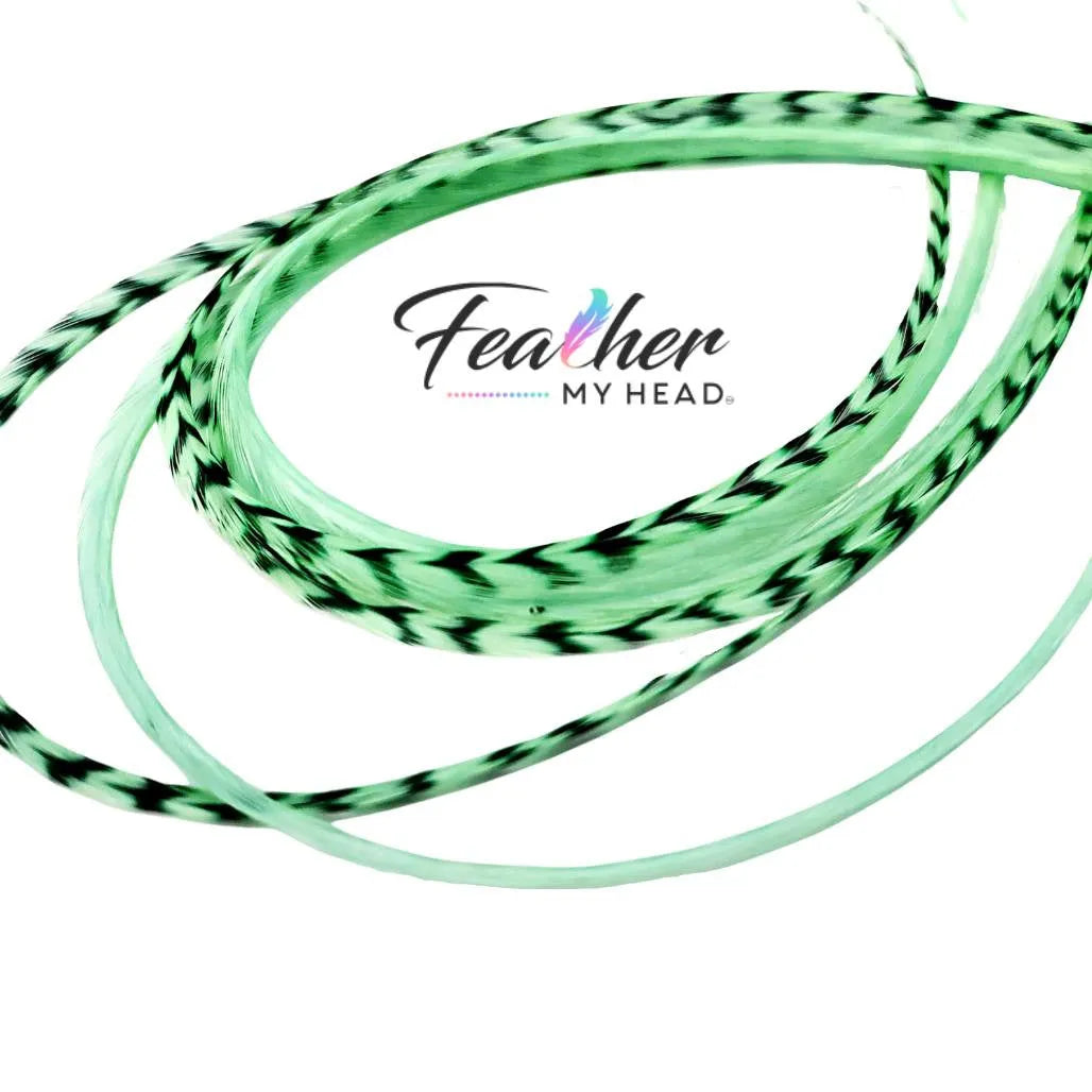 Light Pastel Green hair feathers