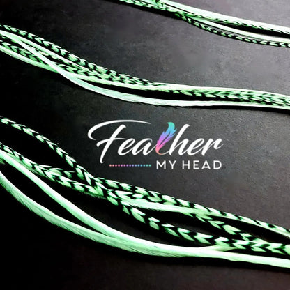 Light Pastel Green hair feathers