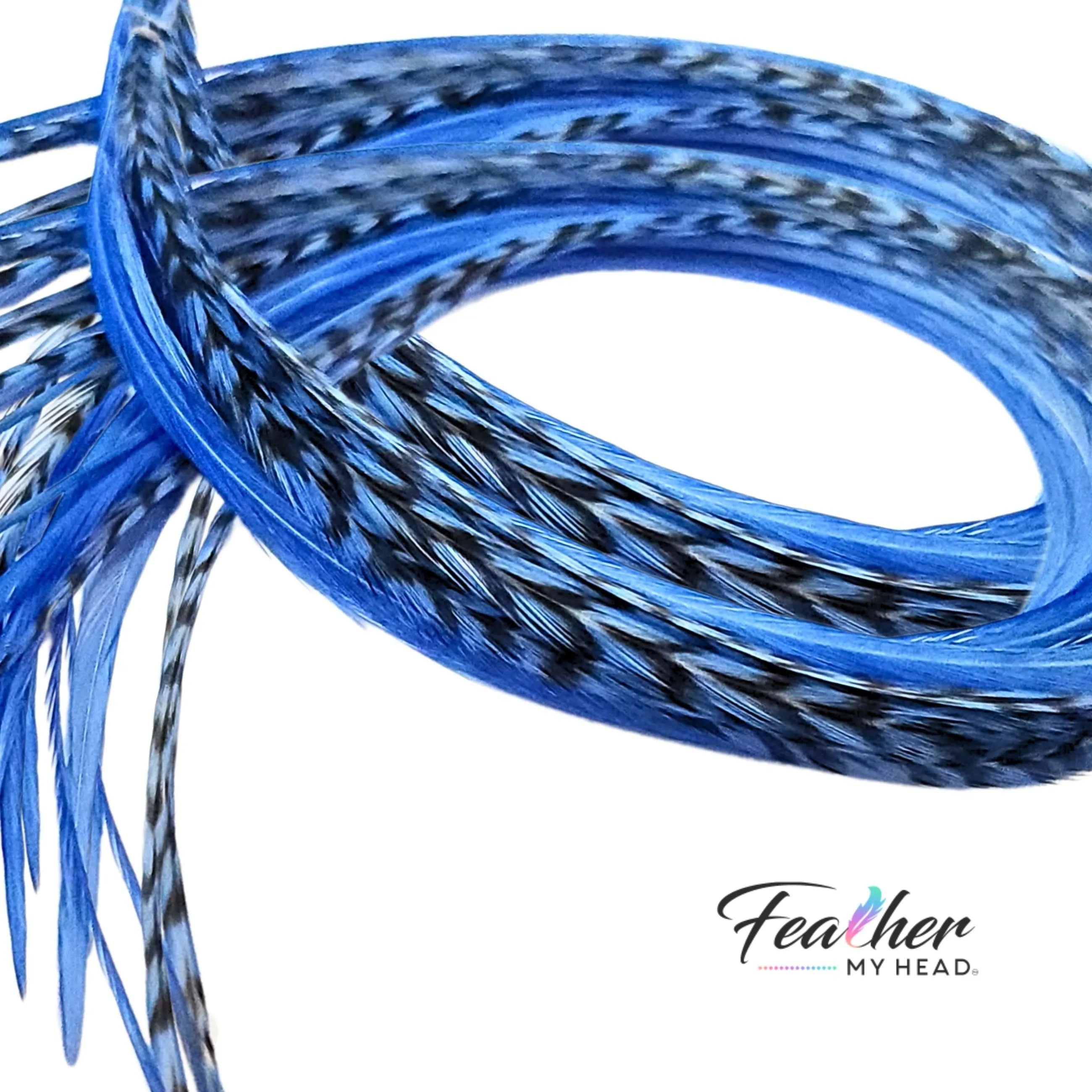 Light Blue Hair Feather