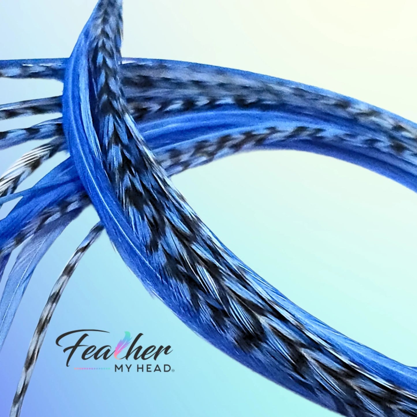 Light Blue Hair Feather