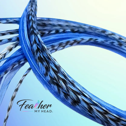 Light Blue Hair Feather