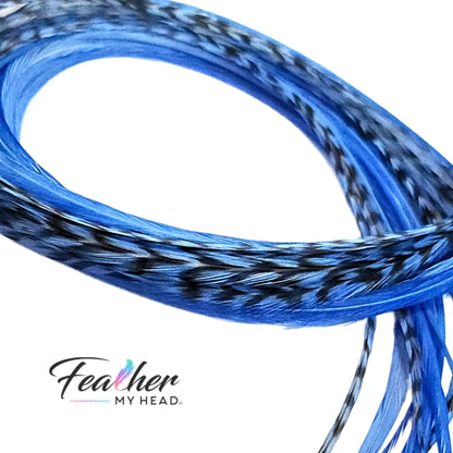 Light Blue Hair Feather