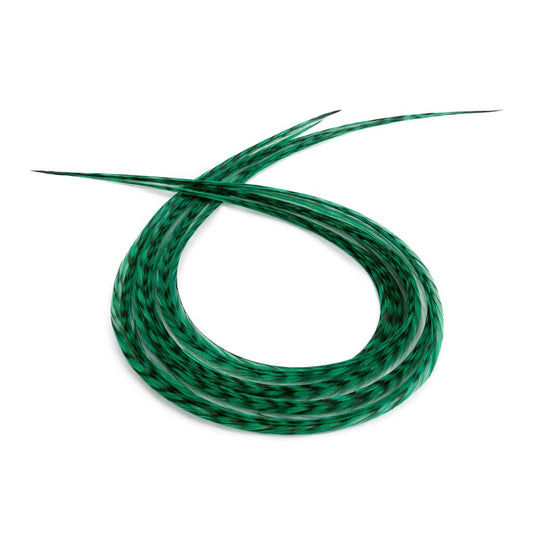 Feather kit Emerald Green Hair Extension Set with Very Long Real Rooster Feathers