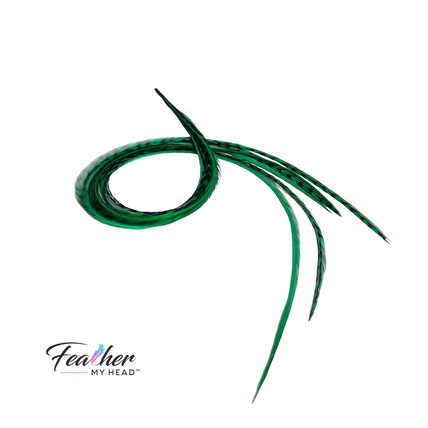 Feather kit Emerald Green Hair Extension Set with Very Long Real Rooster Feathers