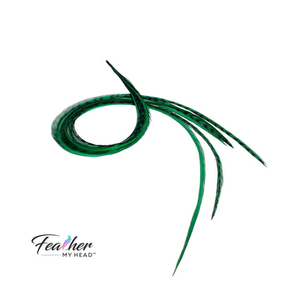 Feather kit Emerald Green Hair Extension Set with Very Long Real Rooster Feathers