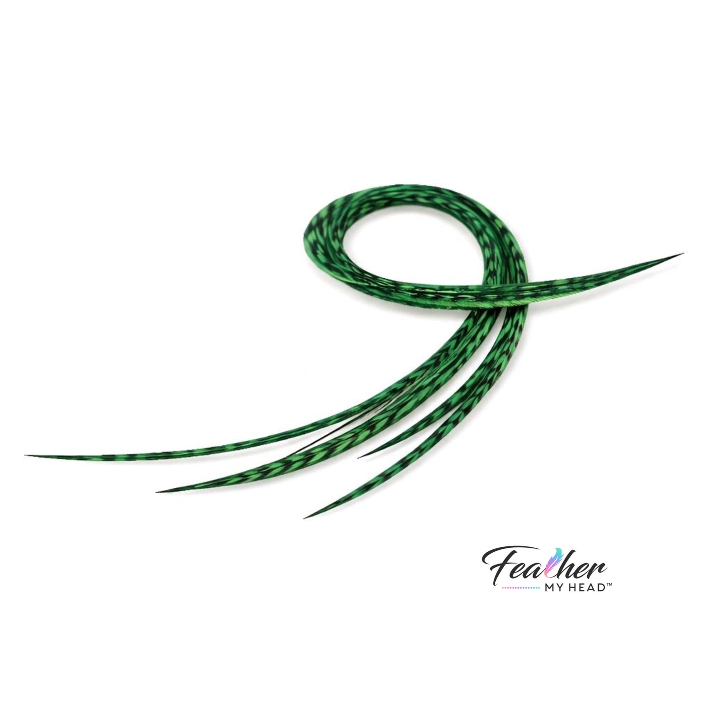 Feather kit Emerald Green Hair Extension Set with Very Long Real Rooster Feathers