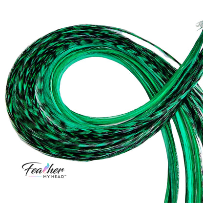 Feather kit Emerald Green Hair Extension Set with Very Long Real Rooster Feathers