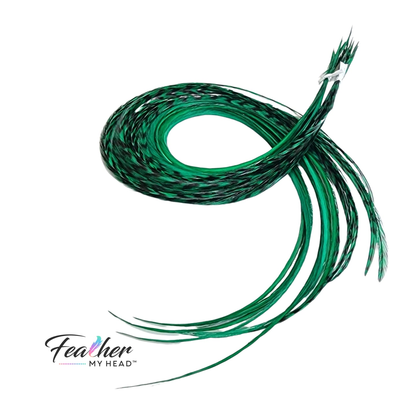 Feather kit Emerald Green Hair Extension Set with Very Long Real Rooster Feathers