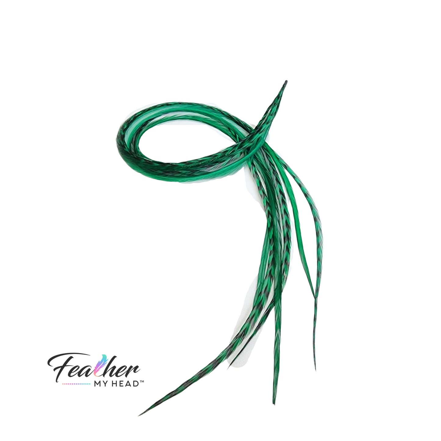 Feather kit Emerald Green Hair Extension Set with Very Long Real Rooster Feathers