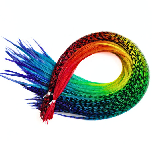 Love Is Love rainbow hair feather set in a full spectrum color blend