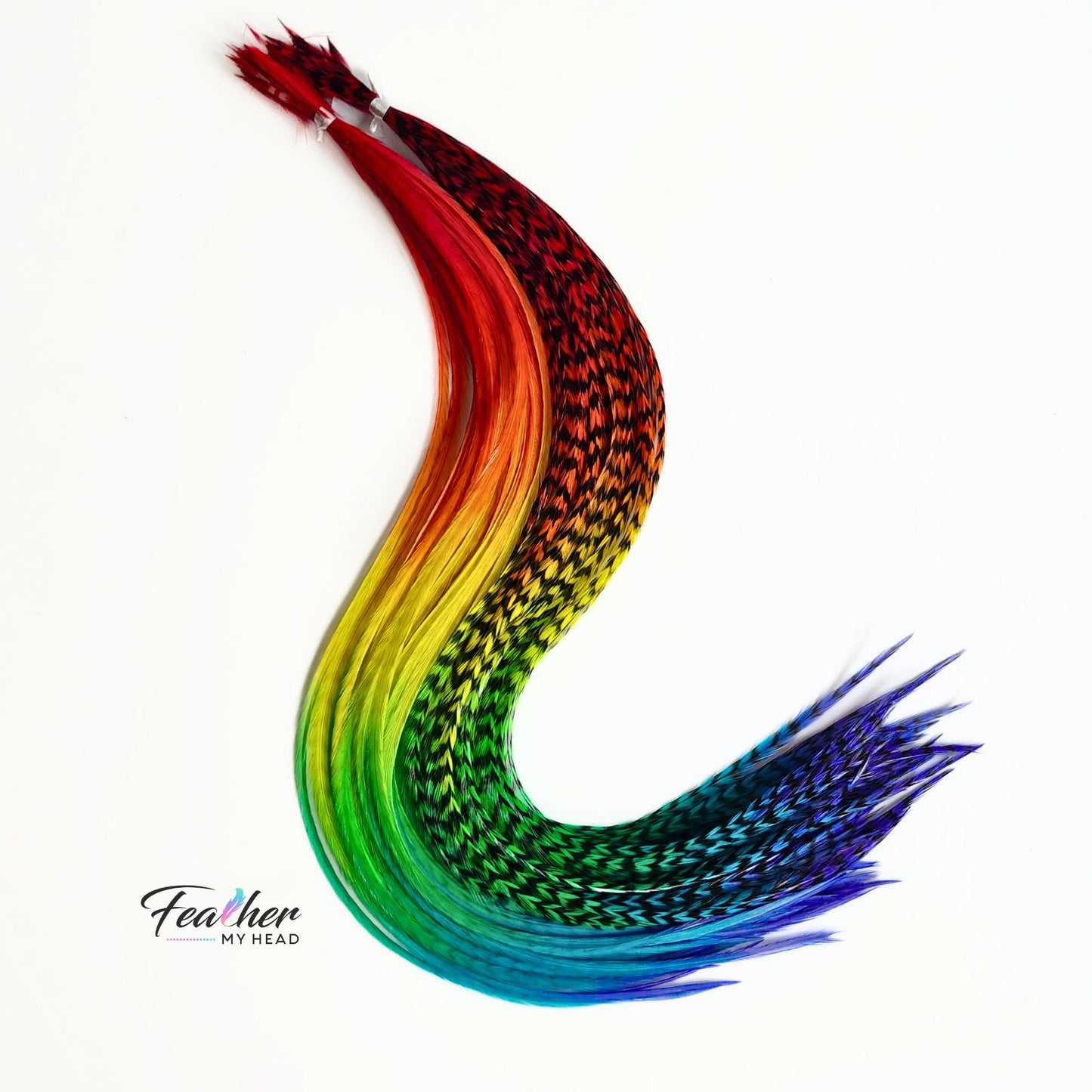Curved Love Is Love rainbow hair feather set showing full spectrum color blend